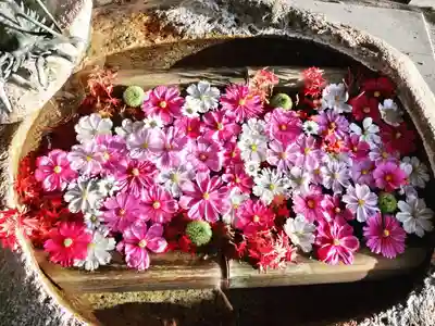 立志神社の手水舎