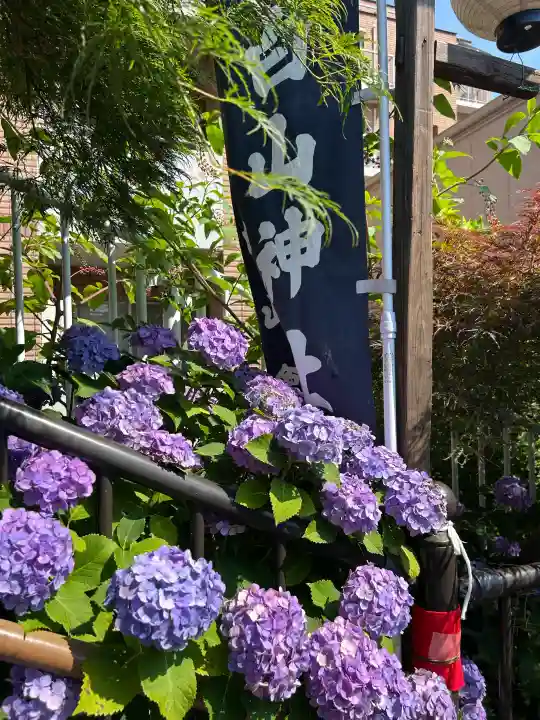 白山神社(東京都)