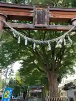 住吉神社の鳥居