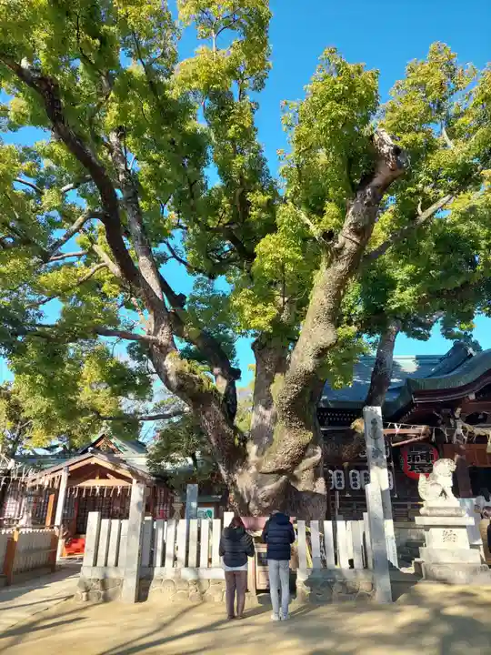 石切劔箭神社(大阪府)
