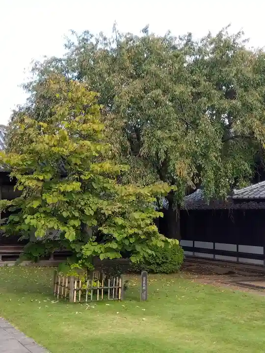 天王寺(東京都)