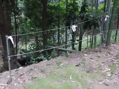 琴宮社のおみくじ