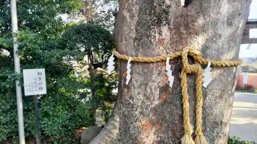 比々多神社(神奈川県)