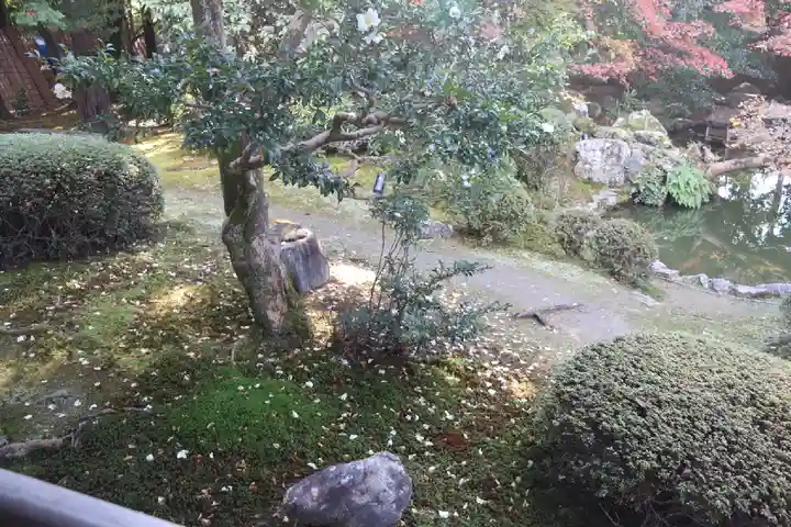 隨心院(随心院)の自然