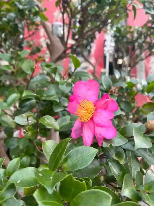 金毘羅宮慈眼寺(滋賀県)