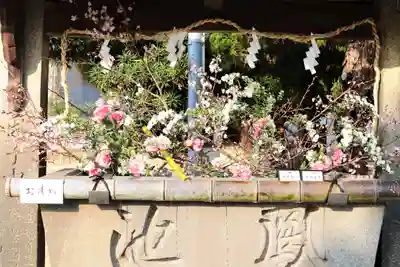 三津厳島神社の手水舎