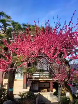 圓照寺(東京都)