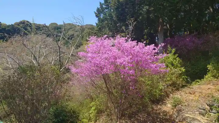 善住禅寺(愛知県)
