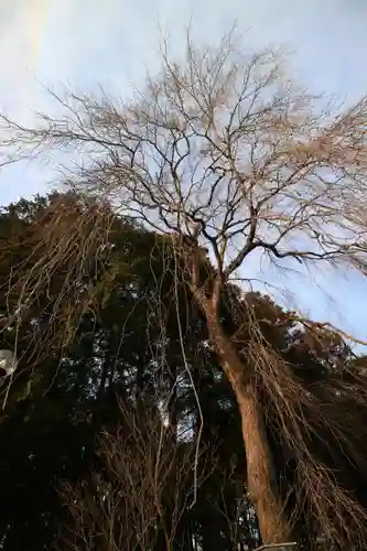 仙台東照宮の自然