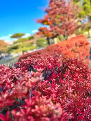 湯島天満宮(長野分社)(長野県)