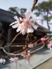 犀川神社(石川県)