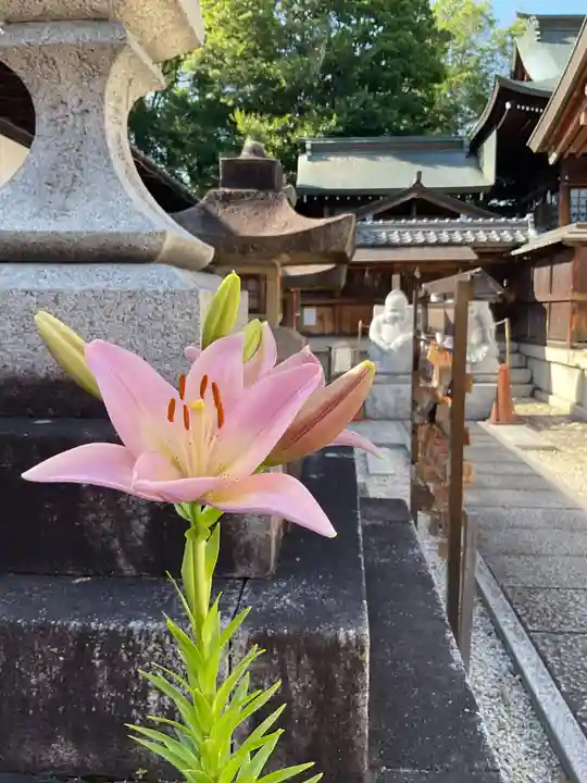新羅神社(岐阜県)