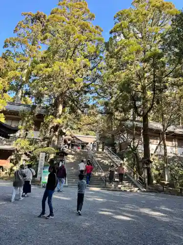 大神神社(奈良県)