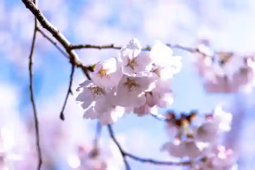 新城藤原神社(長野県)