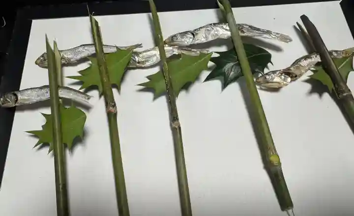 城山稲荷(福井県)