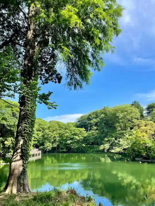 親之井稲荷(尊)跡(東京都)