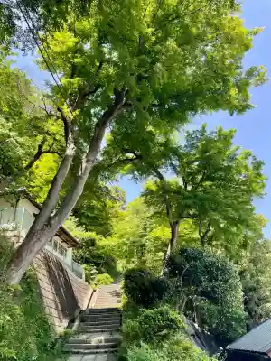 黙仙寺(神奈川県)