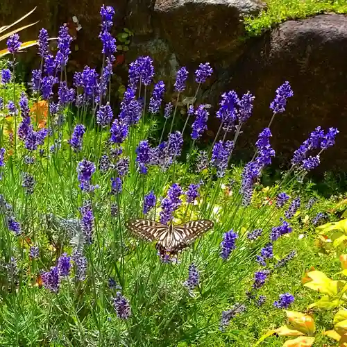 寿量山　速成寺の自然