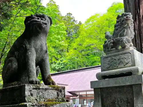 戸隠神社中社の狛犬