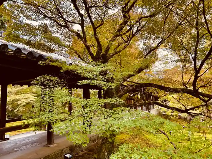 東福禅寺(東福寺)(京都府)