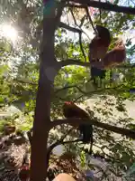 谷保天満宮の動物