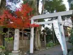 世木神社の鳥居