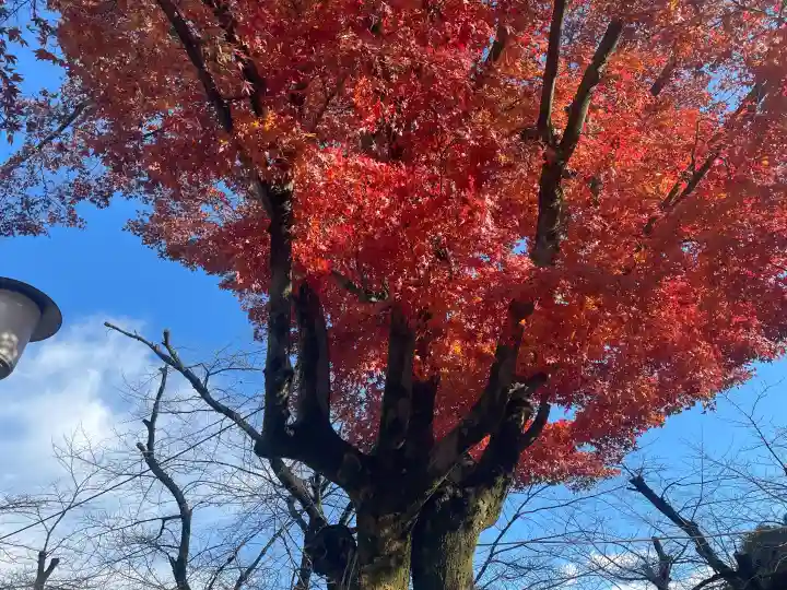 喜多院の{uncategorized: "未分類", other: "その他", undefined: "問題あり", building: "その他建物", grave: "お墓", sacred_gate: "鳥居", guardian: "狛犬", statue: "像", buddha: "仏像", history: "歴史", nature: "自然", garden: "庭園", animal: "動物", pagoda: "塔", temizu: "手水舎", mountain_gate: "山門・神門", sanctuary: "本殿・本堂", subordinate: "末社・摂社", art: "芸術", scenery: "景色", jizo: "地蔵", ema: "絵馬", goshuin: "御朱印", omikuji: "おみくじ", items: "授与品その他", amulet: "お守り", goshuincho: "御朱印帳", eats: "食事", festival: "お祭り", votive_dance: "神楽", shichigosan: "七五三参", wedding: "結婚式", experience: "体験その他", initially: "初詣", around: "周辺", anti_infection: "感染症対策"}