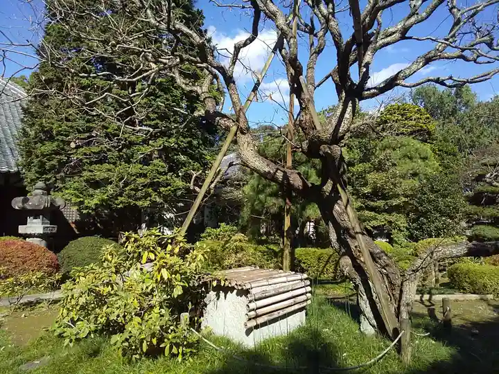 廣福寺(埼玉県)
