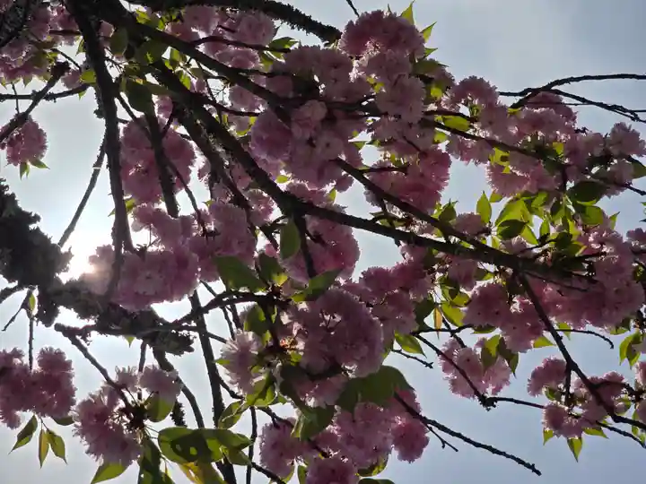 長谷山口坐神社(奈良県)