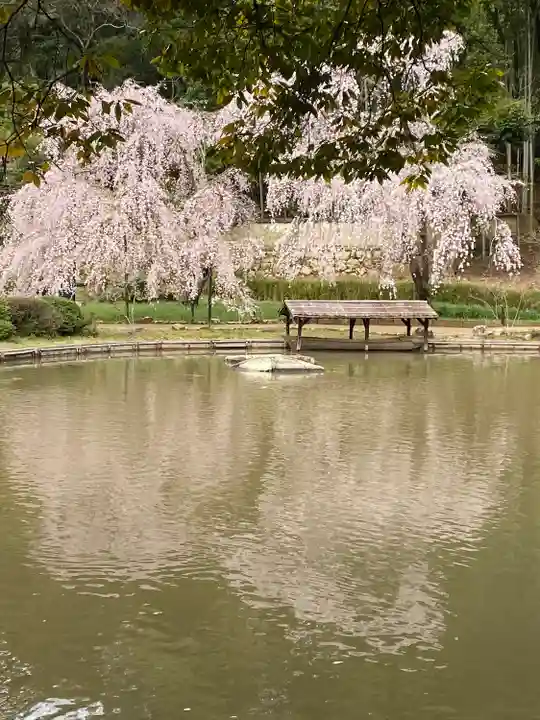 曹源寺(岡山県)