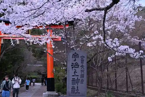 宇治上神社(京都府)