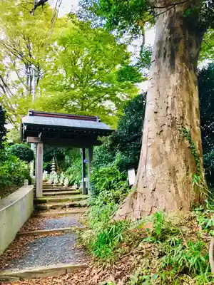 海禅寺(山形県)