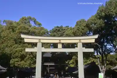 明治神宮(東京都)
