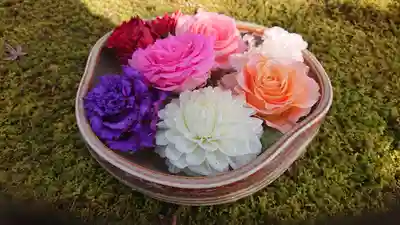 勝林寺(京都府)