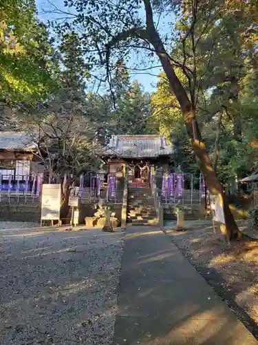 下野 星宮神社(栃木県)