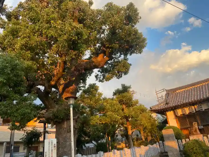 伯太神社(大阪府)