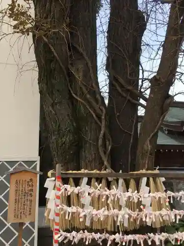 櫛田神社の自然