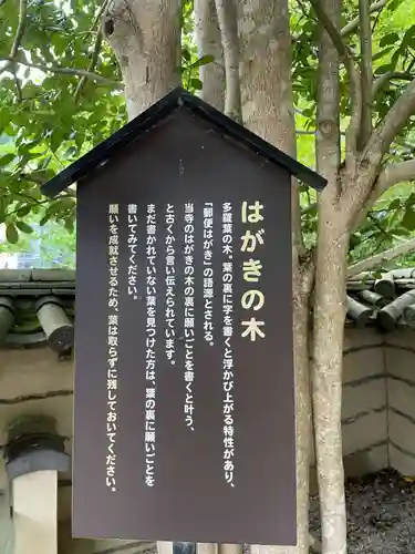 法起院(奈良県)