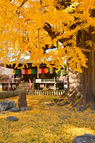 鑁阿寺(栃木県)