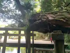 鹿島神宮(茨城県)