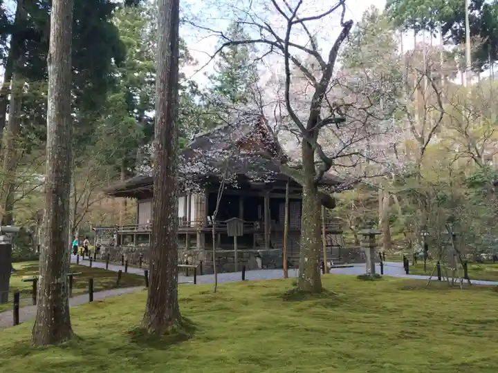 三千院門跡の本殿・本堂