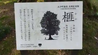 如信上人御廟所法龍寺の自然