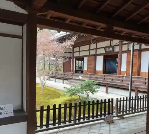 興聖寺の{uncategorized: "未分類", other: "その他", undefined: "問題あり", building: "その他建物", grave: "お墓", sacred_gate: "鳥居", guardian: "狛犬", statue: "像", buddha: "仏像", history: "歴史", nature: "自然", garden: "庭園", animal: "動物", pagoda: "塔", temizu: "手水舎", mountain_gate: "山門・神門", sanctuary: "本殿・本堂", subordinate: "末社・摂社", art: "芸術", scenery: "景色", jizo: "地蔵", ema: "絵馬", goshuin: "御朱印", omikuji: "おみくじ", items: "授与品その他", amulet: "お守り", goshuincho: "御朱印帳", eats: "食事", festival: "お祭り", votive_dance: "神楽", shichigosan: "七五三参", wedding: "結婚式", experience: "体験その他", initially: "初詣", around: "周辺", anti_infection: "感染症対策"}