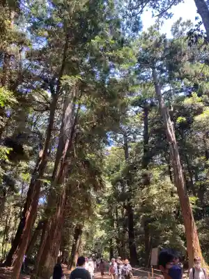 鹿島神宮(茨城県)
