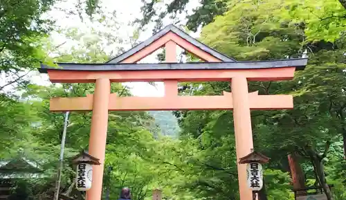 日吉大社の鳥居