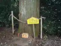 星の宮神社(愛知県)