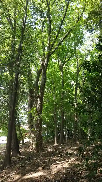 羽黒神社(茨城県)