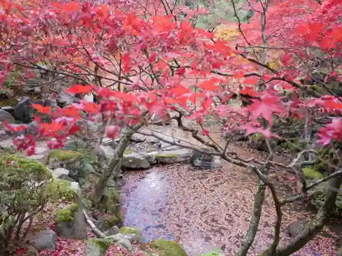 洞窟観音・徳明園・山徳記念館の景色