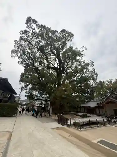 太宰府天満宮の{uncategorized: "未分類", other: "その他", undefined: "問題あり", building: "その他建物", grave: "お墓", sacred_gate: "鳥居", guardian: "狛犬", statue: "像", buddha: "仏像", history: "歴史", nature: "自然", garden: "庭園", animal: "動物", pagoda: "塔", temizu: "手水舎", mountain_gate: "山門・神門", sanctuary: "本殿・本堂", subordinate: "末社・摂社", art: "芸術", scenery: "景色", jizo: "地蔵", ema: "絵馬", goshuin: "御朱印", omikuji: "おみくじ", items: "授与品その他", amulet: "お守り", goshuincho: "御朱印帳", eats: "食事", festival: "お祭り", votive_dance: "神楽", shichigosan: "七五三参", wedding: "結婚式", experience: "体験その他", initially: "初詣", around: "周辺", anti_infection: "感染症対策"}