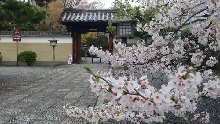 大報恩寺(千本釈迦堂)の自然